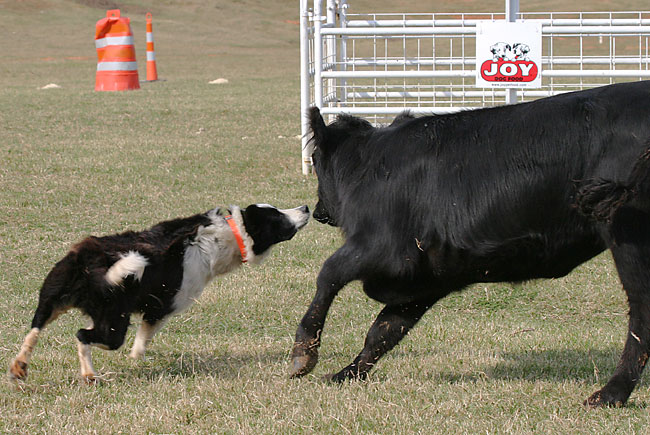 Turning after  the post