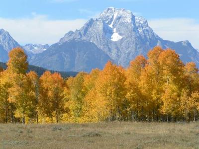 Mt. Moran - Grand Teton