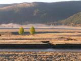 Lamar Valley
