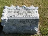 Goodwin, Demerice Crandall (Wife of Ingham L)Section 5 Row 4