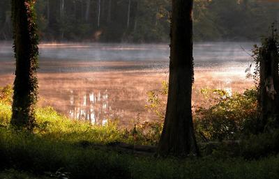 Morning Mist on Still Lake (10.6.04)