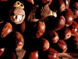 10-08-04<br>Feel Like a Nut