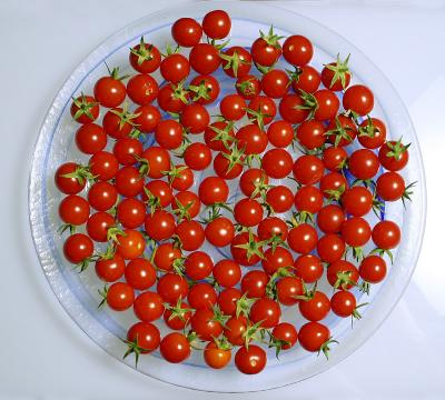 08-29-04Cherry Tomatoes onClear and Blue Glass Plate
