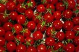 08-29-04<br>Cherry Tomato Alternative