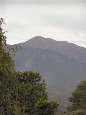 Mt Bogong from Mount Beauty township