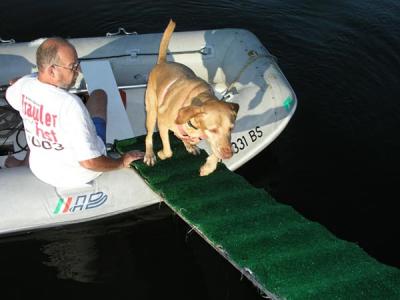 Dory on the Ramp.jpg