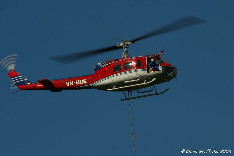 IMG_3124.jpg
