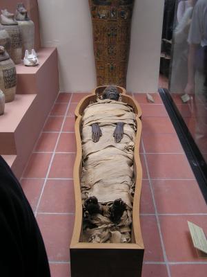  Mummy (died 3 millenia ago)