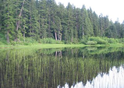 10 Olallie Lake