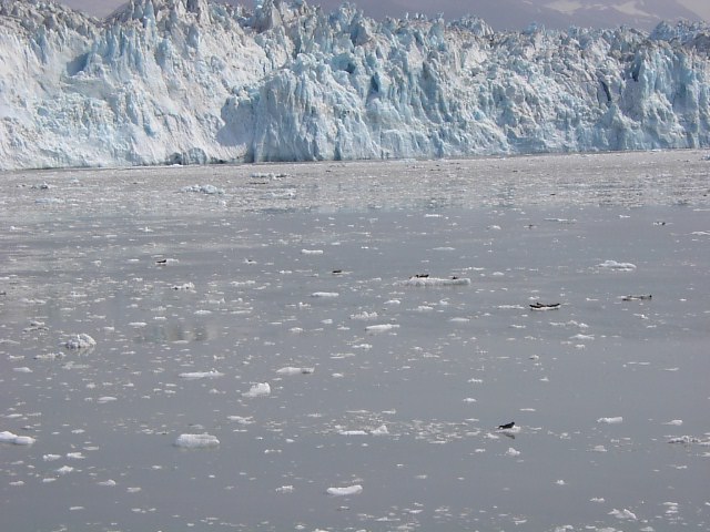 Glacier and Ice Flows