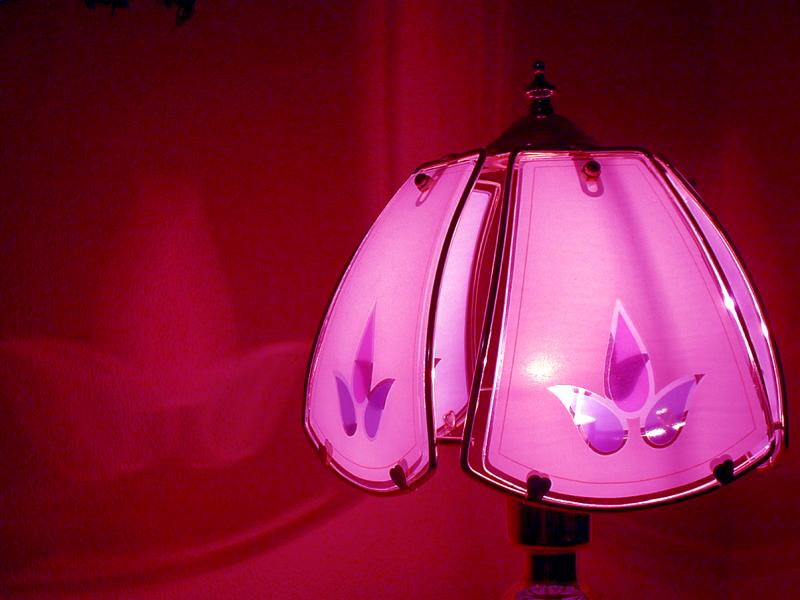 October 22 2003: Lamp Leaves