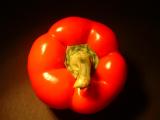 October 24 2003: The Red Pepper