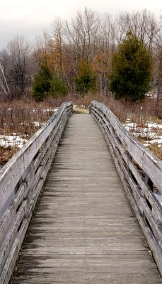 bridge panorama