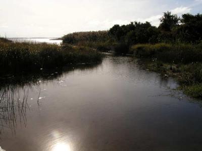 u34/coastalva/medium/34771337.BAYGLARE.jpg