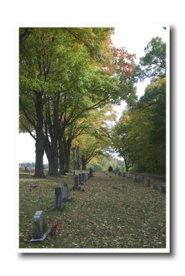 Fall