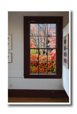 Foliage Gallery (fall, window, art)