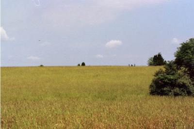 Bull Run Battlefield, at Manassas