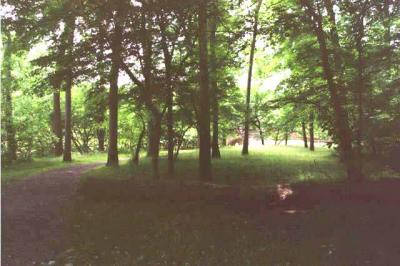 Bull Run Battlefield, at Manassas