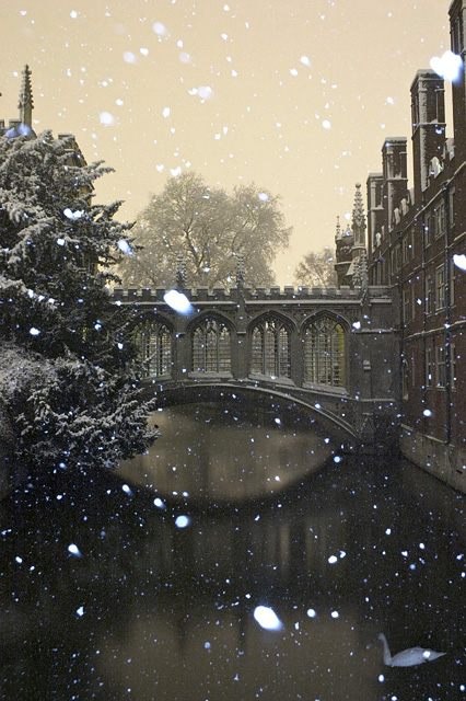 Snow Bridge