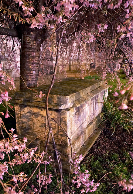 Spring Coffin