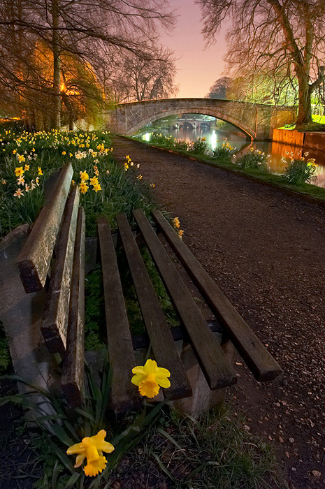 Flower Bench