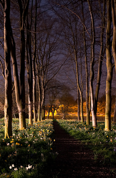 Spring Path