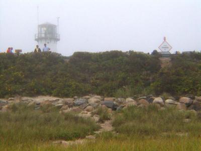 chatham fog 2.jpg