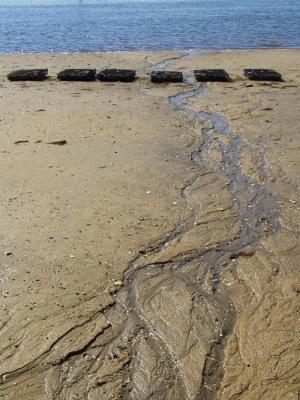Wellfleet oyster baskets .jpg