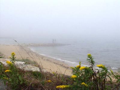 S. Yarmouth  beach fog .jpg