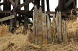 DSC_0033.jpg