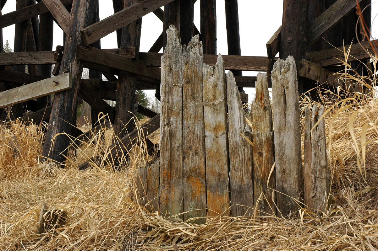 DSC_0033.jpg