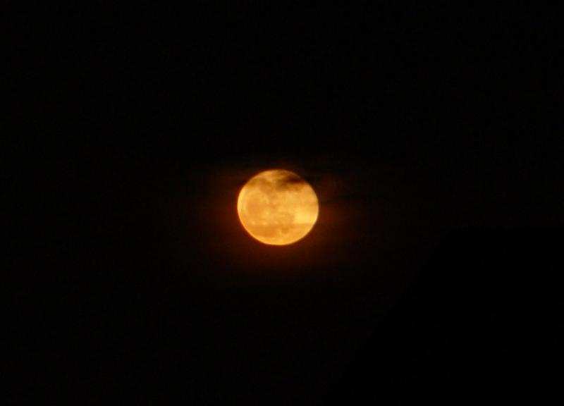 DSC06514.JPG