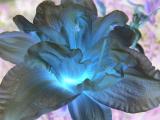 DSC04695.JPG