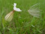 July 11, 2004<br><i>Hanging on...</i><br>Day 66
