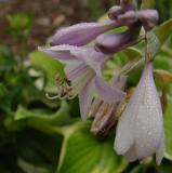 DSC05078.jpg