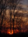 DSC06538.JPG
