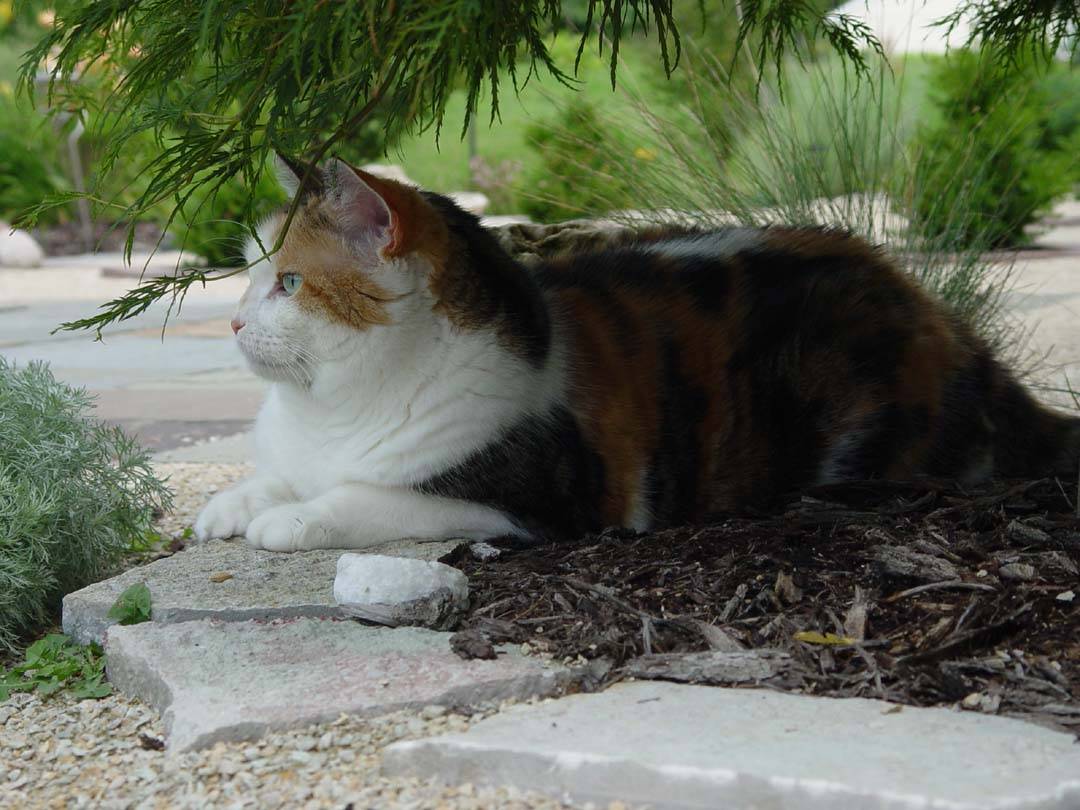 DSC04587.JPG