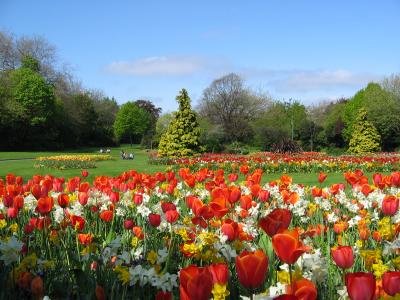 St. Stephen's Green, Dublin