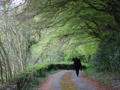 Lisdonagh House, Connemara, Co. Galway