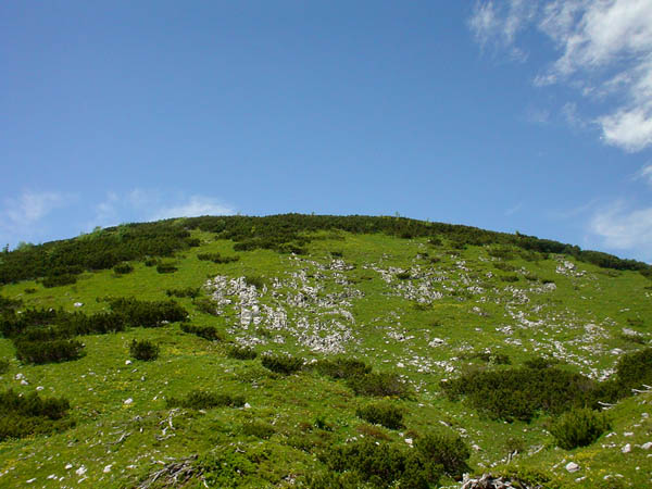 Blue Meets Green