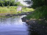 shoreline -- south side - downstream view