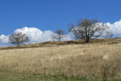 Three, Holding Back The Clouds*by Ed Hahn