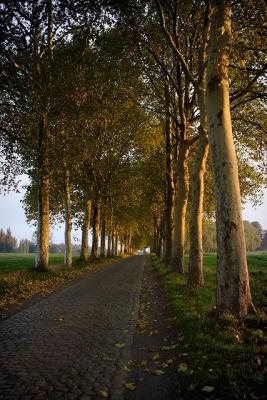 The Road To Perditionby Frederic Poncelet