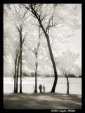 <B>Together in IR</B> <BR><I>Angela Holder</I>