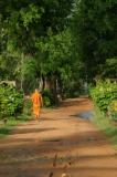 alone on the path* by terryj