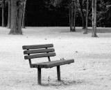 <b>*Waiting For Company*</b><br><i>by Bob Lindabury</i>