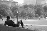 Laying InThe Park by Camera Slug
