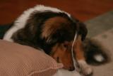 <B>No one to play with. </B> <BR>by Ken Sutton