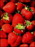 <B>Reds</b><br><font size= 1>* by Pops *</font>