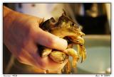 a handful of entrails
